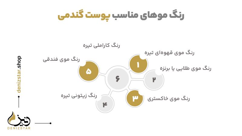 رنگ موهای مناسب پوست گندمی